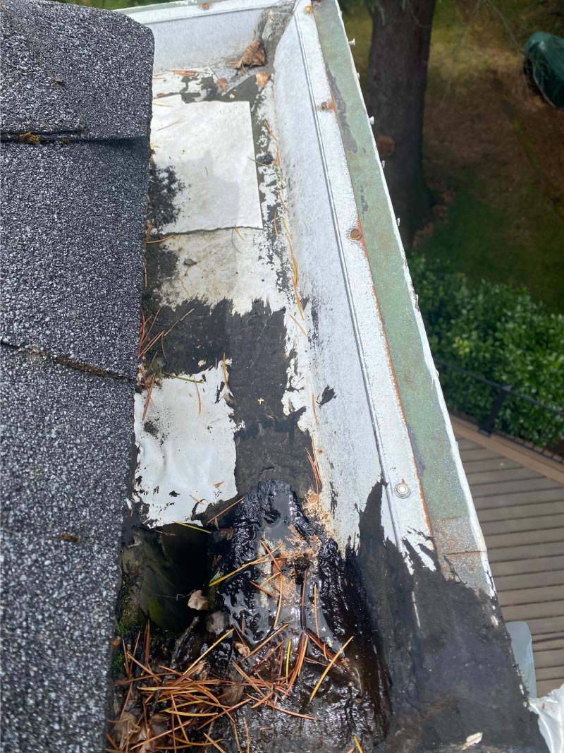 Gutter reference supplied for Michael's repair conversation