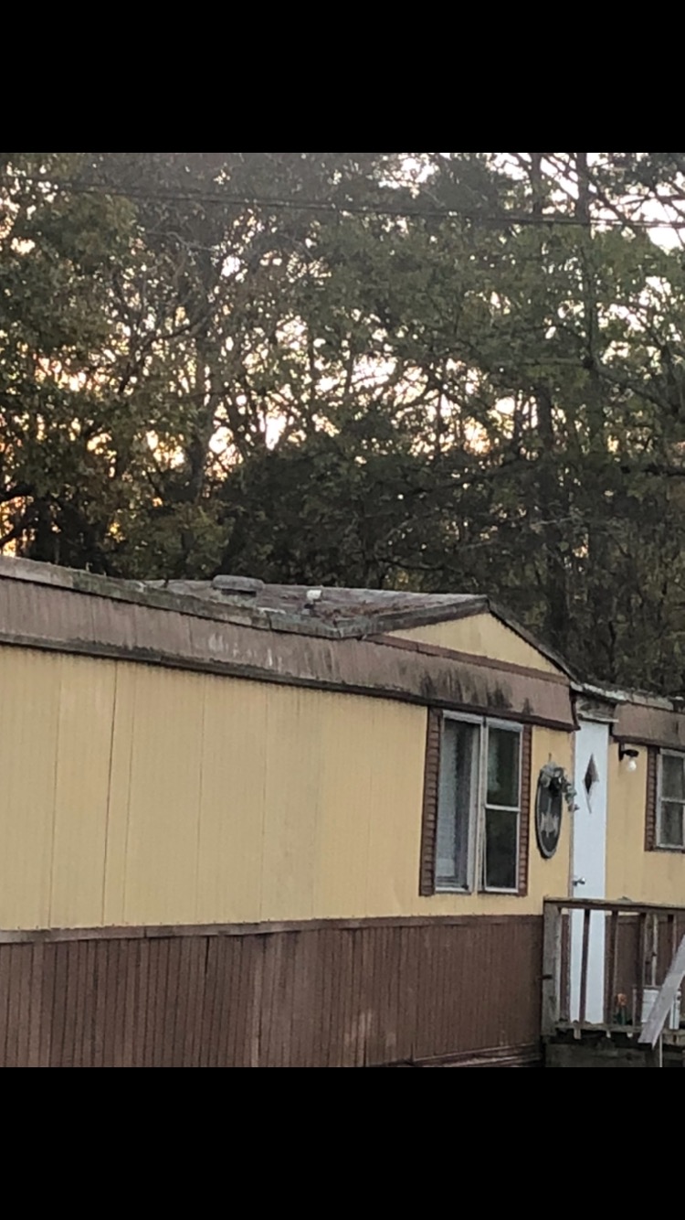Customer photo: roofline and raised roof section
