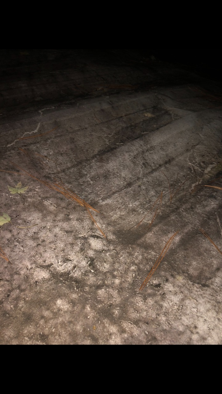 Customer photo: roof surface and seams